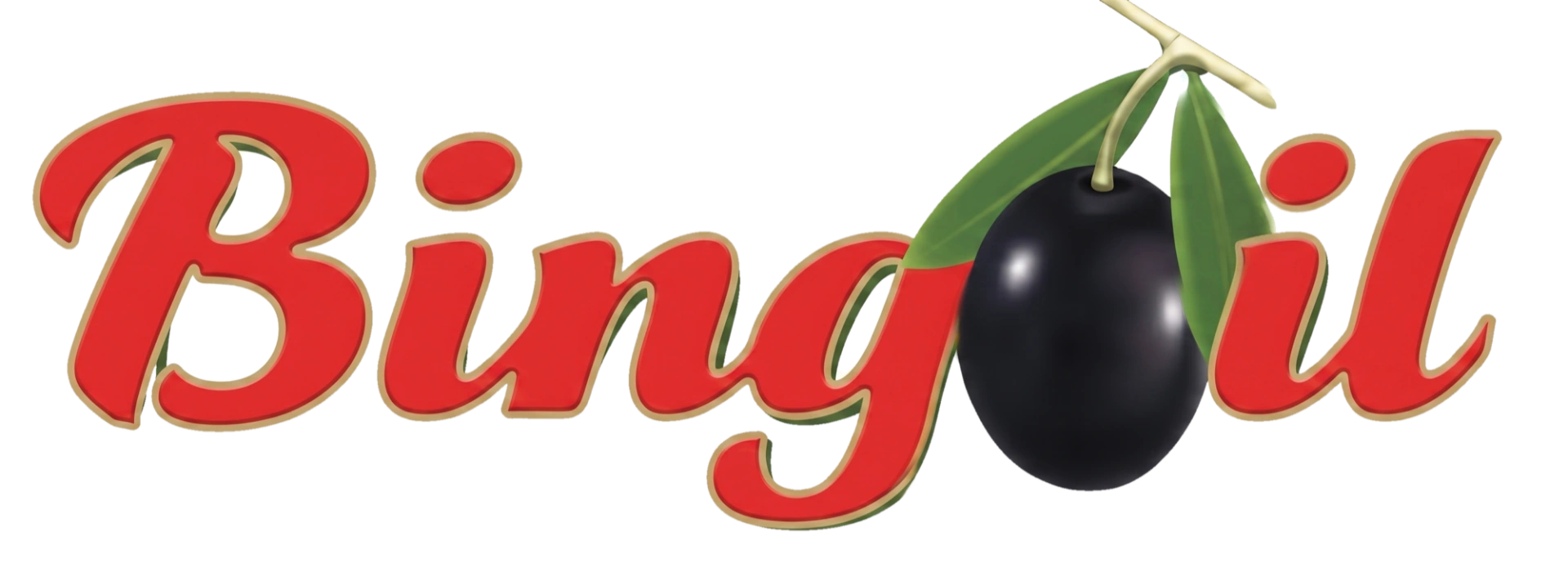 Bingoil